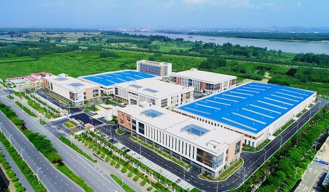 迎江园二手房最新房价,迎江园二手房最新房价动态分析