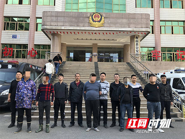 桃江红网今日最新消息,桃江红网今日最新消息综述