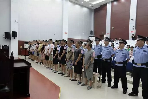 唐河县谢鸿杰最新消息,唐河县谢鸿杰最新消息，一位年轻有为的领导者引领县域发展新征程
