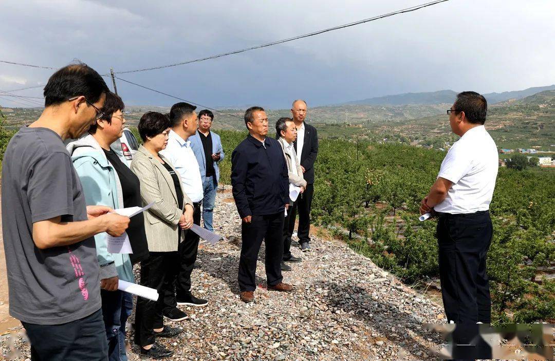 三原县最新招聘信息网,三原县最新招聘信息网——搭建职业发展的桥梁
