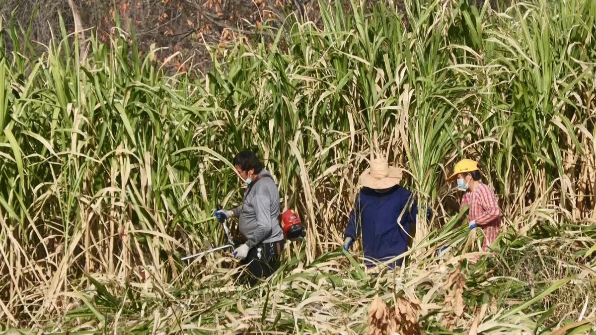 安陆人才网最新招聘,安陆人才网最新招聘动态及其影响