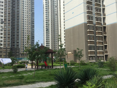 最新龙海石码二手房,最新龙海石码二手房市场深度解析