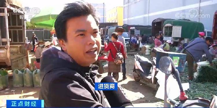 大葱批发价格最新消息,大葱批发价格最新消息，市场动态与影响因素分析