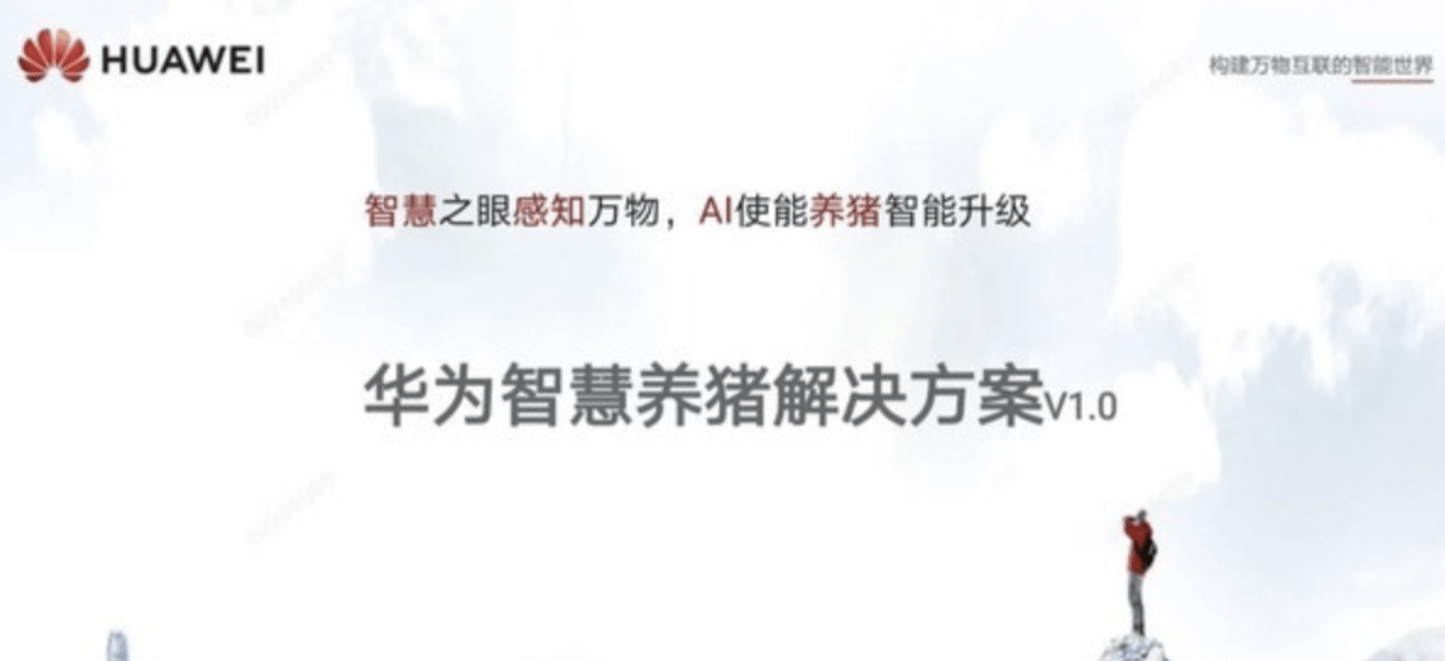 3d狂想字谜最新一期,探索最新一期3D狂想字谜，一场视觉与智慧的盛宴