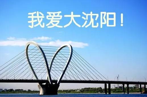沈阳市自贸区最新消息,沈阳市自贸区最新消息