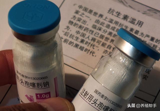 兽药配伍禁忌表最新版高清图,兽药配伍禁忌表最新版高清图及其应用重要性