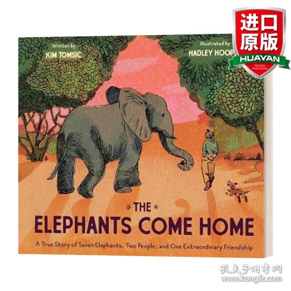 香港四不像资料图正版|精选资料解析大全,香港四不像资料图正版精选资料解析大全