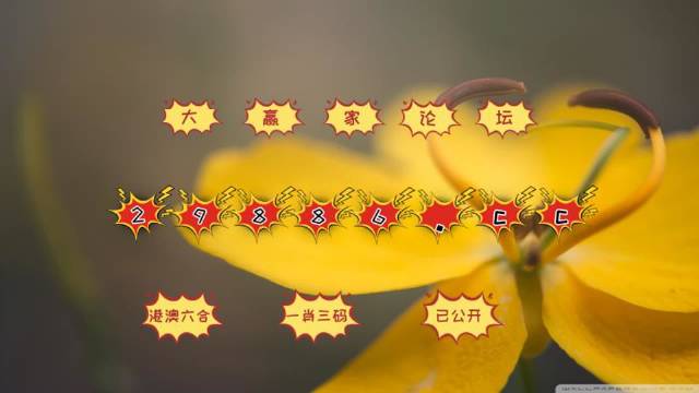 555525王中王四肖四码|精选资料解析大全,揭秘555525王中王四肖四码，精选资料解析大全