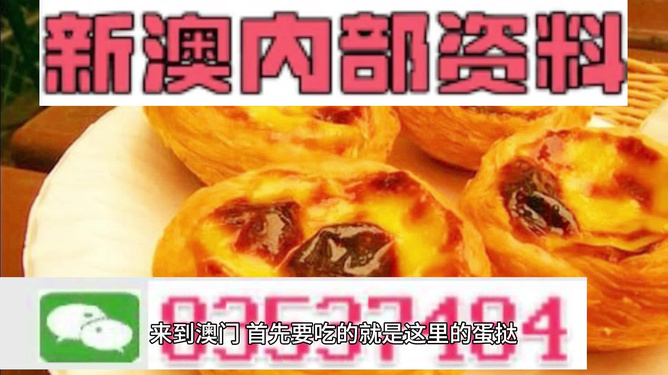 澳门精准大全正版资料2024年|精选资料解析大全,澳门精准大全正版资料解析大全，探索2024年精选资料