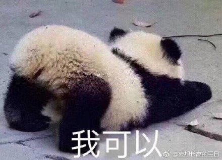 今晚四不像最准确一肖|精选资料解析大全,今晚四不像最准确一肖精选资料解析大全