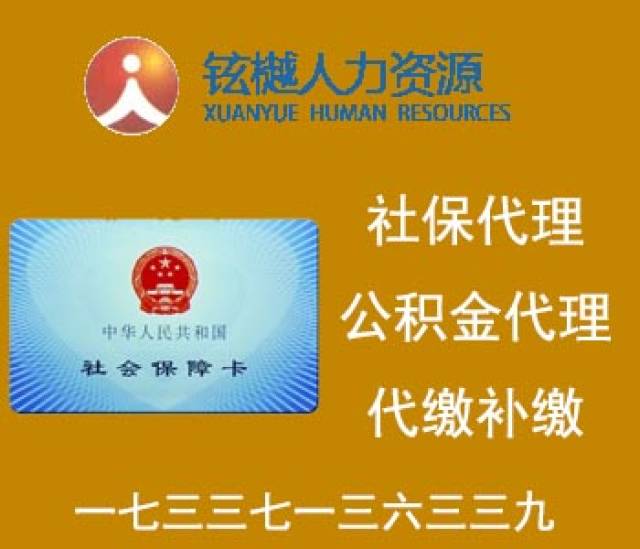 新澳天天精资科大全|精选资料解析大全,新澳天天精资与科大全精选资料解析大全