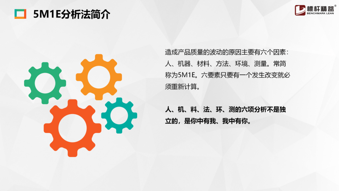 王中王资料大全料大全1,王中王资料大全，深度解析与探索