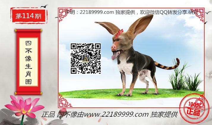 今天必中四不像图,今天必中四不像图，揭示真相与探索奥秘