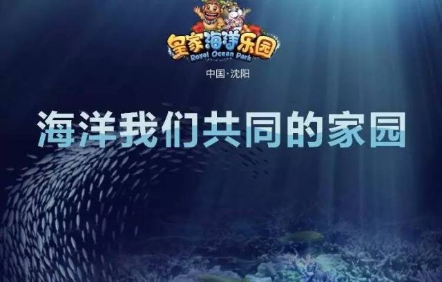 2004新澳正版免费大全,探索2004新澳正版免费大全的奥秘与魅力