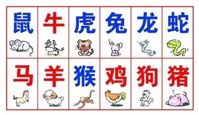 2025澳门特马今晚开奖12生肖,澳门特马今晚开奖与十二生肖的魅力