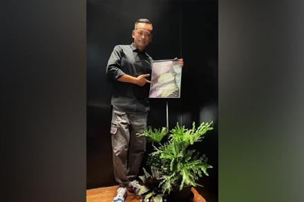 新澳门彩出码综合走势,警惕新澳门彩出码综合走势——揭露赌博背后的风险与犯罪问题