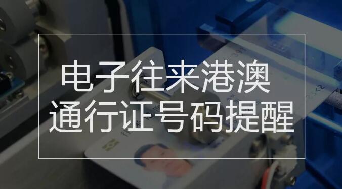 澳门今晚开什么特殊号码,澳门今晚特殊号码的奥秘与探索