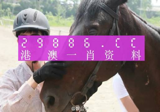 今晚澳门最准一肖一码,今晚澳门最准一肖一码的秘密揭晓