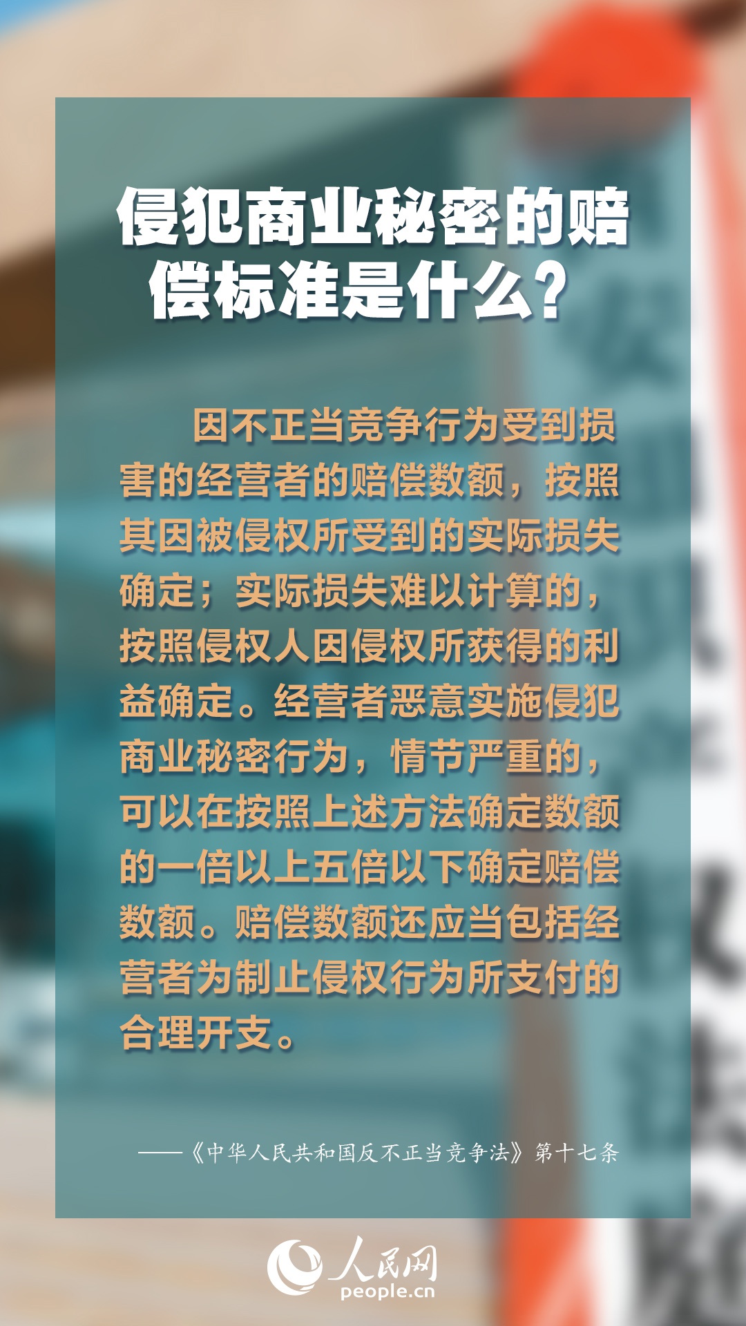 正版权威资料大全,正版权威资料大全，探索知识的宝库
