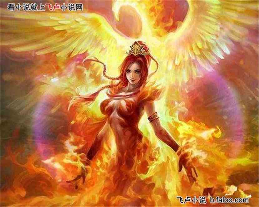 白小姐正版四不像中特小说,白小姐正版四不像中特小说，奇幻冒险之旅