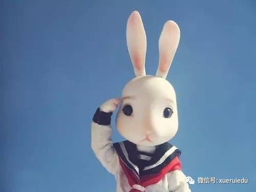 2004新澳正版兔费大全,探索新澳正版兔费大全的奥秘（2004年）