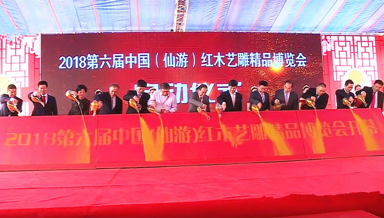 一码一肖100%精准生肖第六,一码一肖，揭秘生肖第六的精准魅力与奥秘