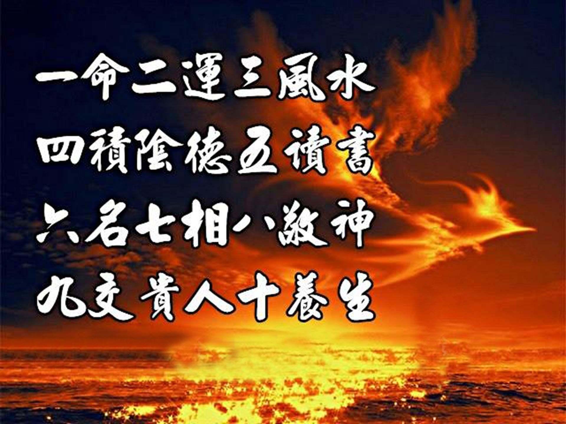 四肖八肖期期准资料精选,四肖八肖期期准资料精选，揭秘精准预测的秘密