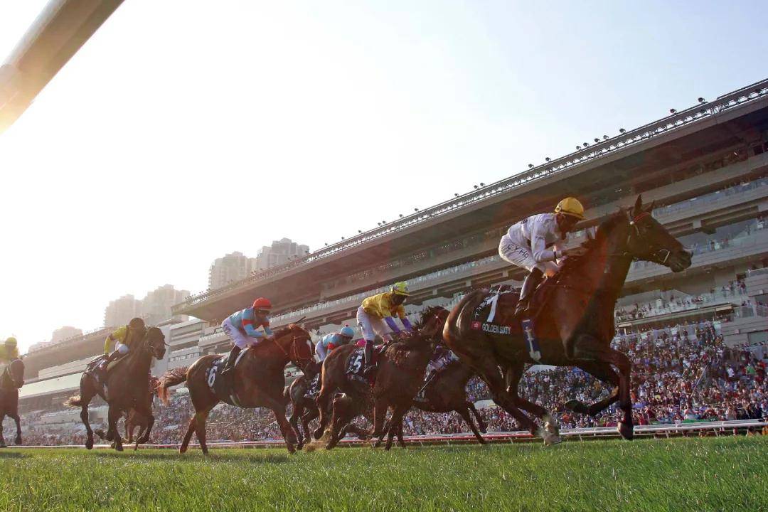 香港今晚开什么特马,香港今晚开什么特马，探索赛马运动的魅力与挑战