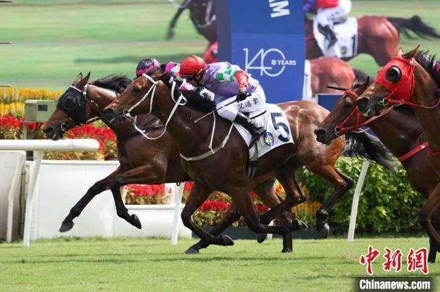 香港今晚开什么特马,香港今晚开什么特马，赛马运动的魅力与悬念