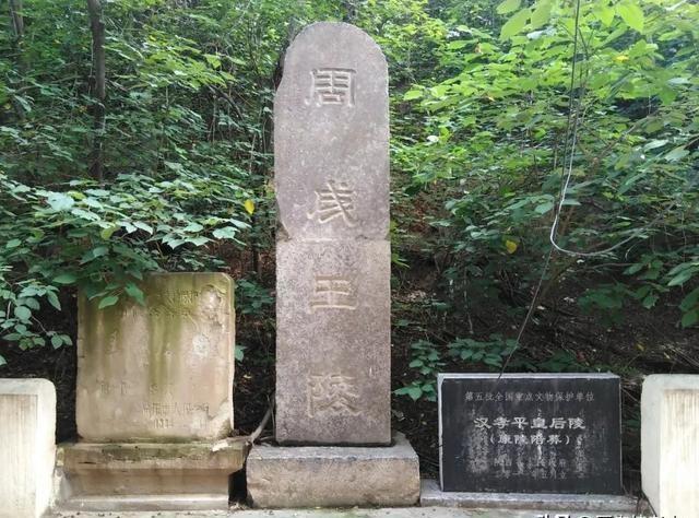 正版资料大全+免费,正版资料大全，免费获取知识的宝库