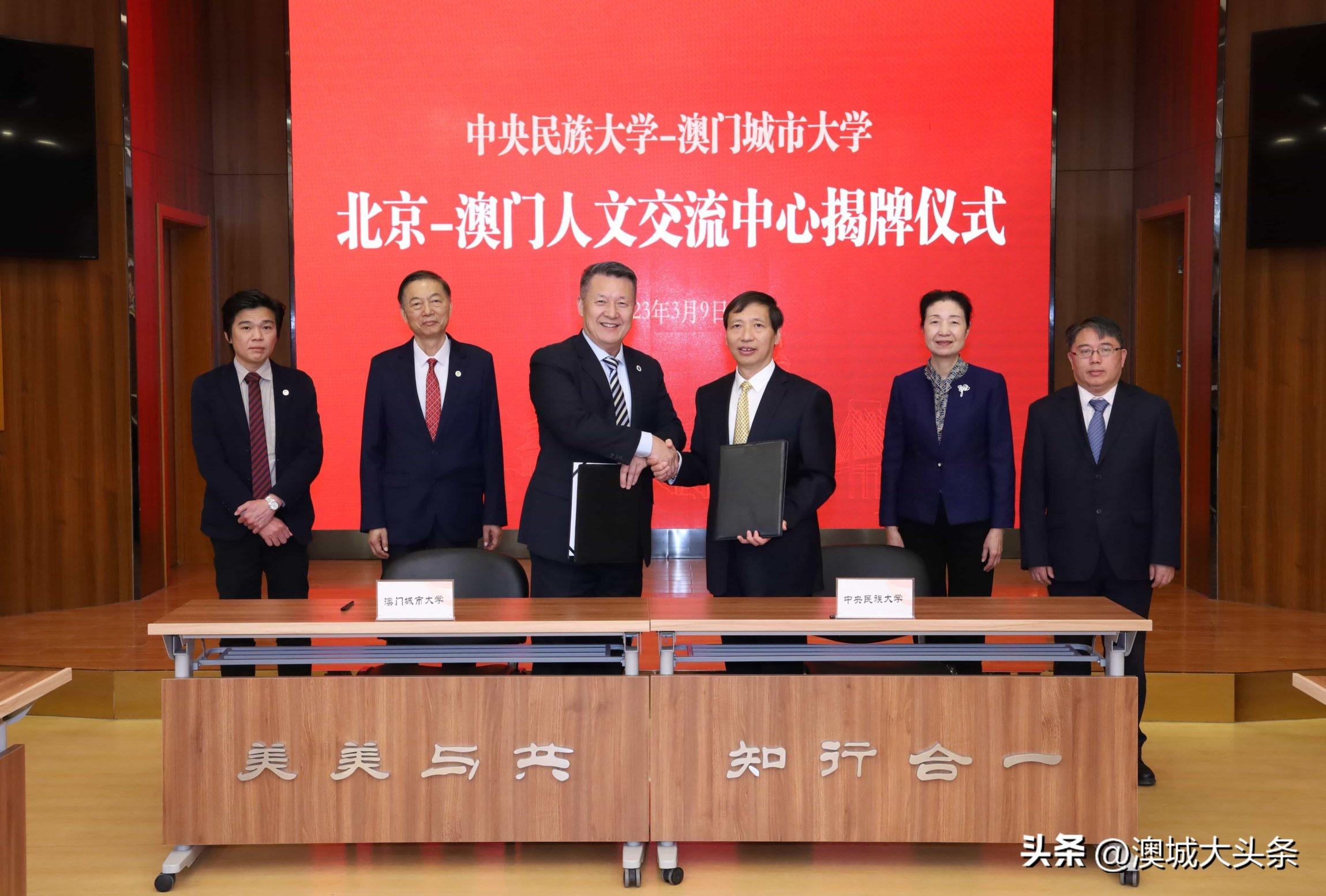 澳门今天晚上买什么好,澳门今天晚上买什么好的多元选择与体验
