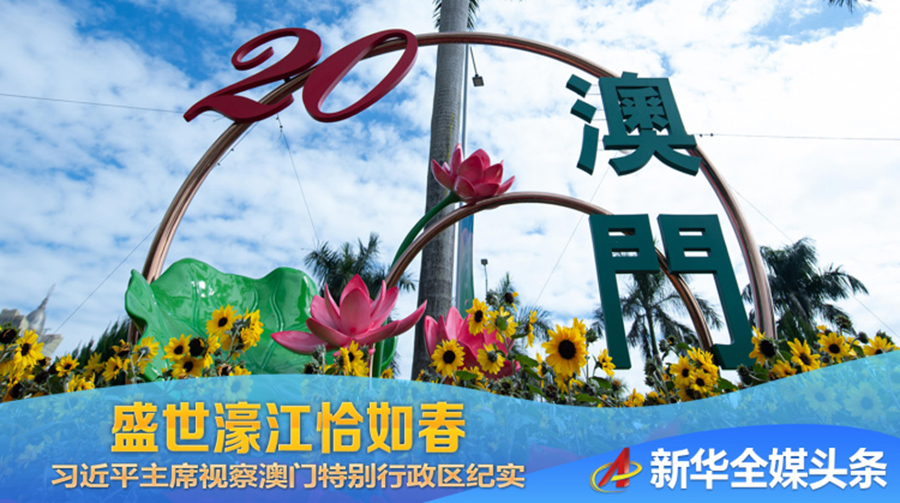 2025年新澳门天天开彩免费资料龙门客栈,龙门客栈，探索2025年新澳门天天开彩免费资料的世界