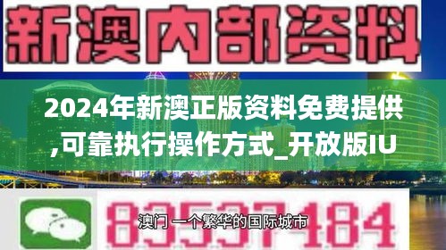 新澳24年正版资料,新澳24年正版资料的深度解析