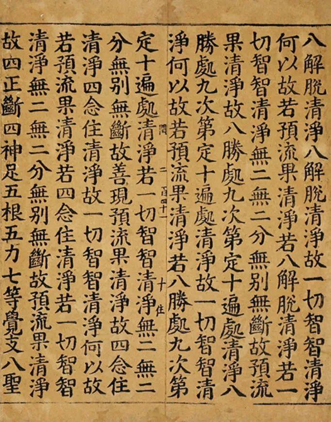 二四六天天彩资料大全凤凰,二四六天天彩资料大全凤凰，探索与解读