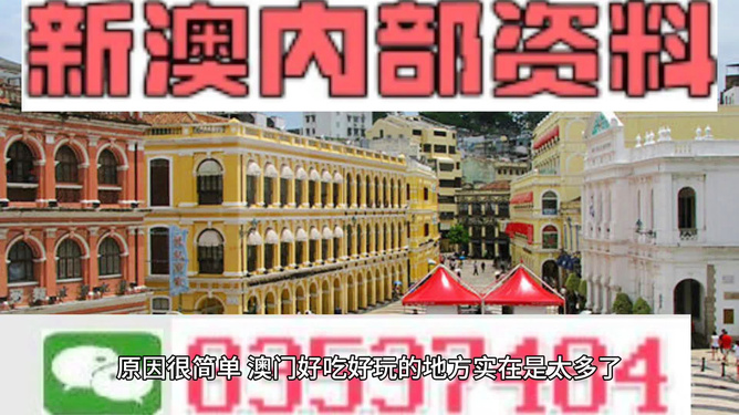 澳门天天免费精准大全,澳门天天免费精准大全，探索澳门的魅力与多彩文化