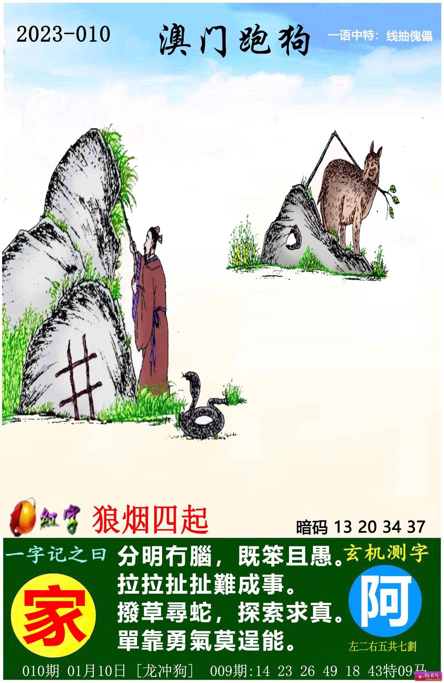 2025年新跑狗图最新版跑狗图,探索跑狗图，最新跑狗图版在2025年的展望