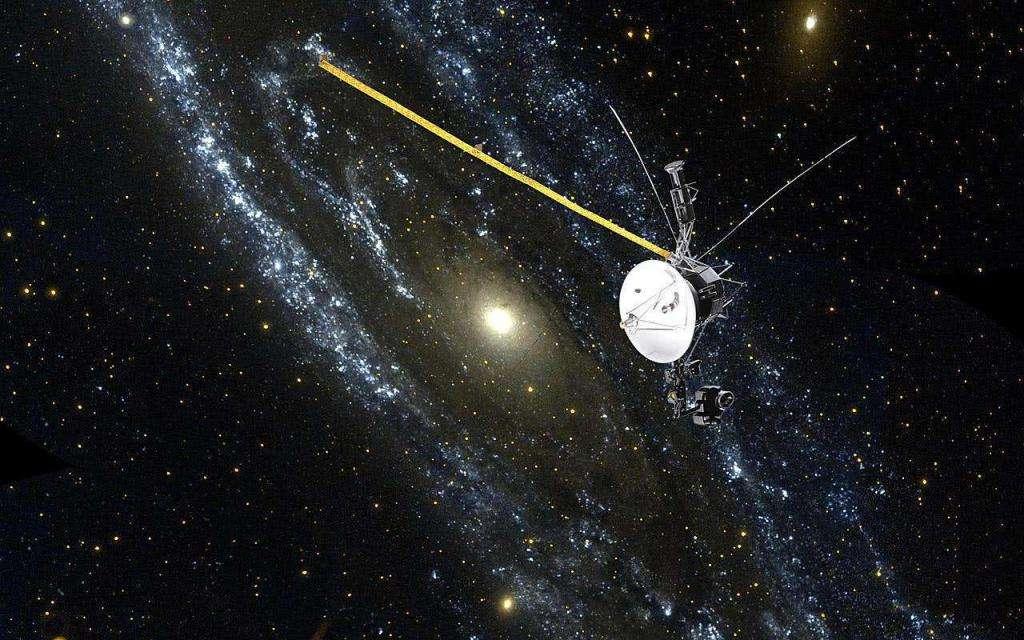 2025新版四不像今晚上映,重磅发布，2025新版四不像今晚上映——深度探索其独特魅力