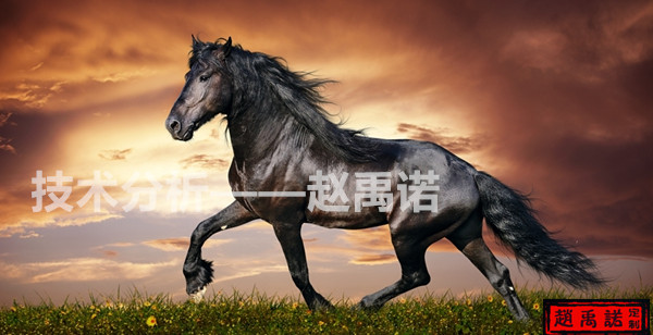 香港精准特马免费资料,香港精准特马免费资料，探寻背后的真相与价值