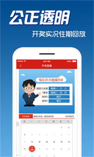 二四六天天彩免费资料查询,二四六天天彩免费资料查询，探索与解析
