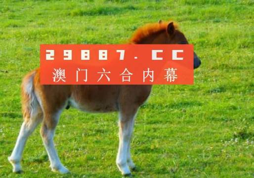 澳门一肖一码一必中一肖苏州,澳门一肖一码一必中一肖苏州，探索与解读