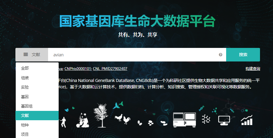 新奥彩最新免费资料,新奥彩最新免费资料，探索与解读