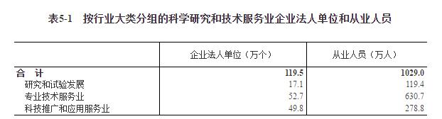 二四六天天彩资料大全2013年,二四六天天彩资料大全2013年，回顾与前瞻
