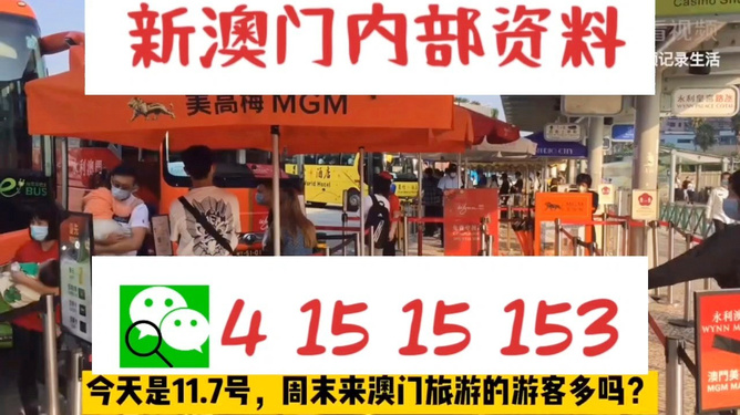 新澳门内部一码精准公开网站,探索新澳门内部一码精准公开网站