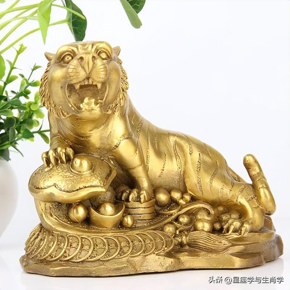 今晚买什么生肖最准确,今晚买什么生肖最准确，揭秘生肖预测与决策之道