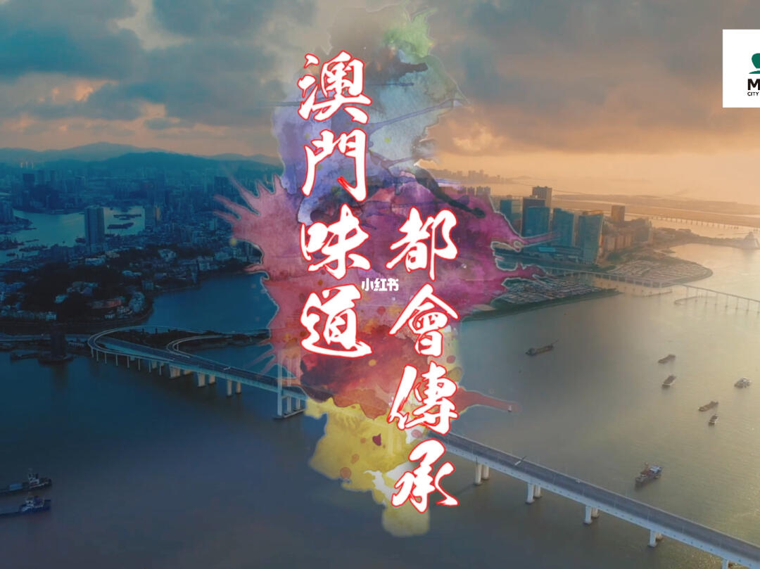马会传真资料澳门澳门传真,马会传真资料与澳门传真，探索背后的故事