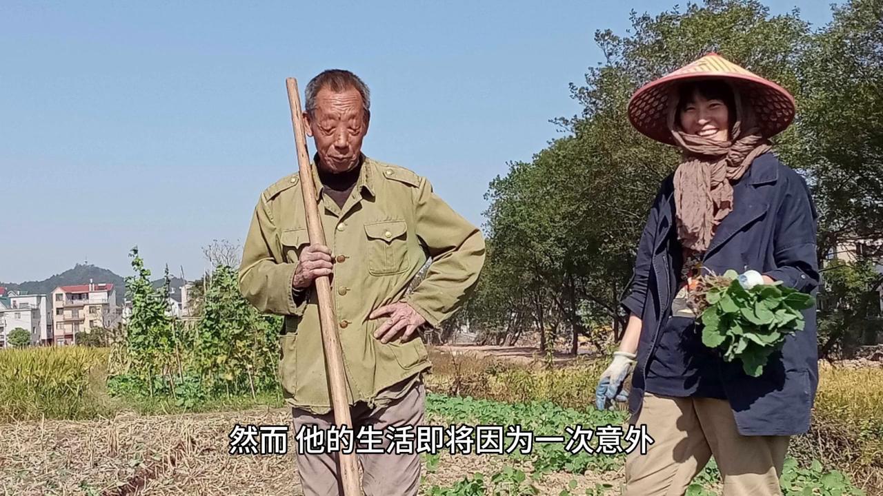 黄大仙精准正版资料论坛,黄大仙精准正版资料论坛——探索神秘与真实的交汇点