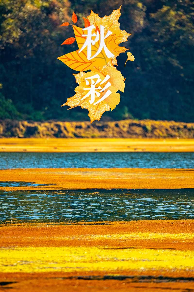 2025年天天彩免费资料大全,探索未来的宝藏，2025年天天彩免费资料大全