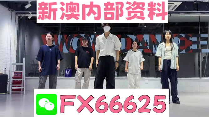 新澳天天彩免费资料大全查询,新澳天天彩免费资料大全查询，探索彩票世界的宝藏之门