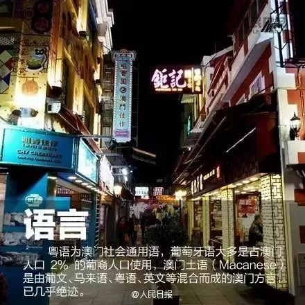 今天澳门晚上开什么,探索澳门今晚的神秘之门，探寻今晚澳门开什么
