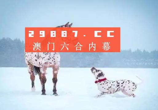 澳门内部资料免费公开2023年最新版,澳门内部资料免费公开2023年最新版，深度探索与揭秘